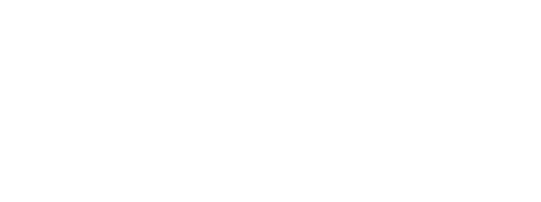Vivid Study logo in white