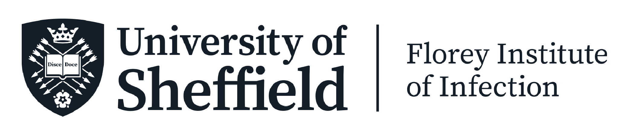 University of Sheffield logo.